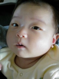 Do!KOMERAのお箸。_f0177295_14374710.jpg