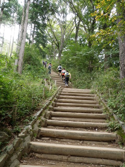 激しくもさわやかなり、高尾山陣場山トレイルランニング_d0122797_2392482.jpg