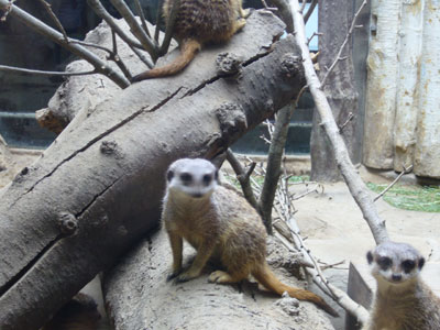 a0022502_19123213.jpg
