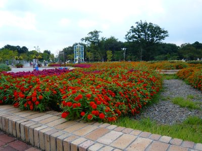 c0024502_19242576.jpg