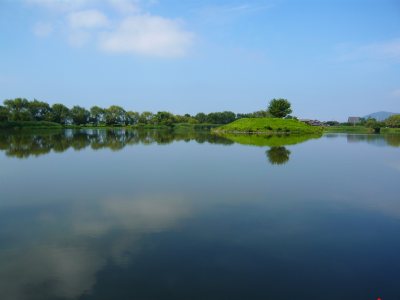 c0024502_7462989.jpg