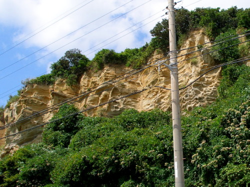 c0036203_18485622.jpg