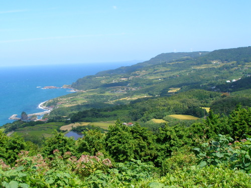 c0036203_21174547.jpg