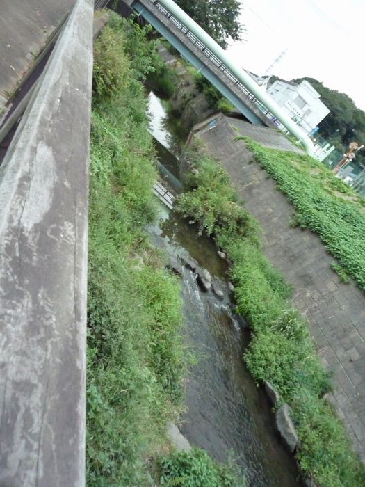 c0187503_2122638.jpg