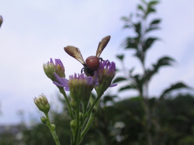 c0156104_2242753.jpg