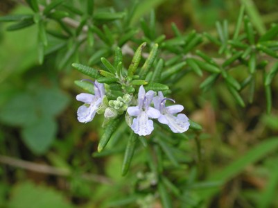 c0156104_22433058.jpg