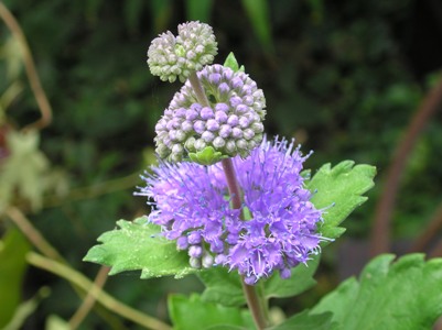 c0156104_22441157.jpg