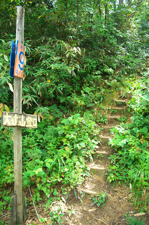 e0162105_11434917.jpg