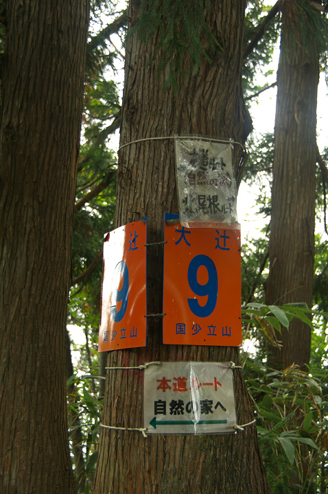 e0162105_11453492.jpg