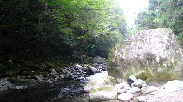 a0097006_204413.jpg