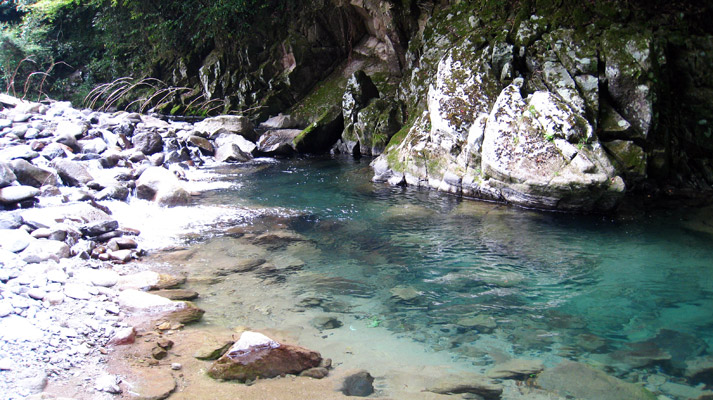 a0097006_205756.jpg