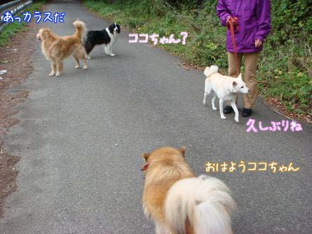 恐るべし犬の記憶力_f0064906_17123866.jpg