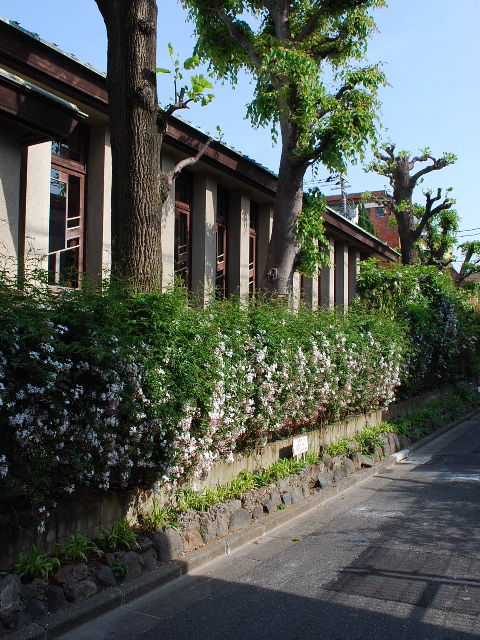 東京自由学園講堂、婦人之友社(昭和モダン建築探訪)_f0142606_617885.jpg