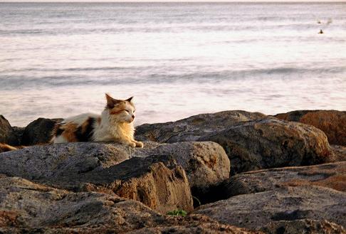 夕方はやっぱり海辺_e0151407_9134012.jpg