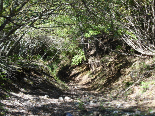 e0015108_8231325.jpg