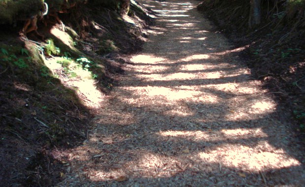 e0015108_8274060.jpg