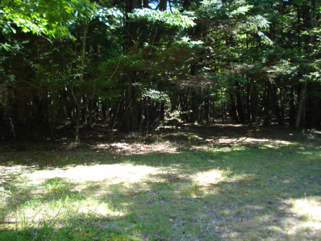 e0015108_8291010.jpg