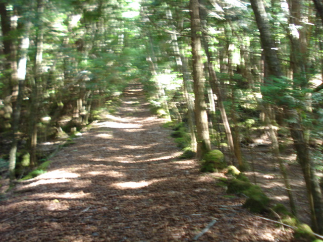 e0015108_8365116.jpg