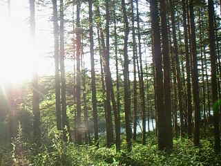 f0024708_531325.jpg