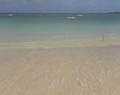 f0006510_10255019.jpg