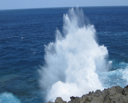 f0006510_104635.jpg
