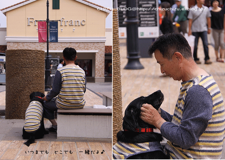 c0017311_14105933.gif
