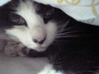 今朝、無事に写真撮影が終了しました。_a0112812_21431764.jpg