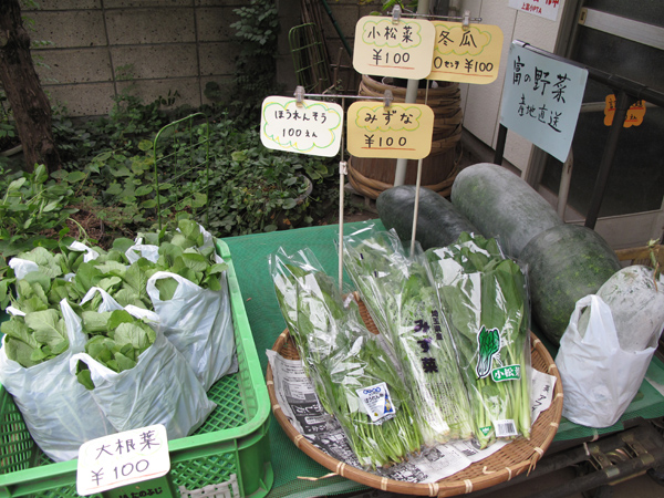 三芳町少年野球連盟秋季大会・新人戦_d0130714_1523535.jpg