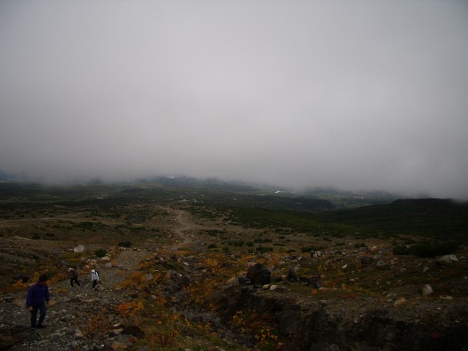 b0152416_2336831.jpg