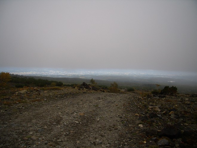 b0152416_23492189.jpg