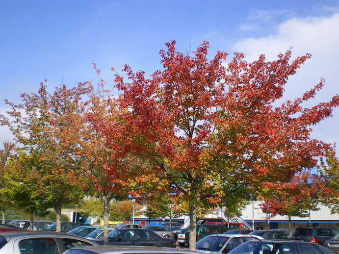 c0124619_20272543.jpg