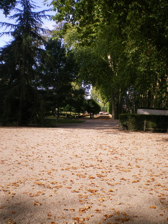 c0124619_20284077.jpg
