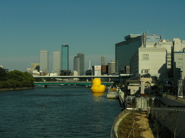 d0055321_11262576.jpg