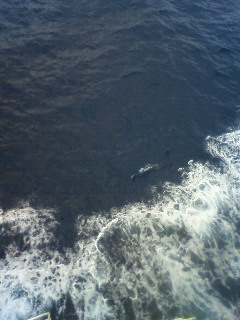 波の白い部分 嵐は過ぎた 旅へ出よう 波の白い部分 嵐は過ぎた 旅へ出よう