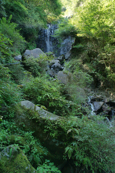 a0068424_10453977.jpg