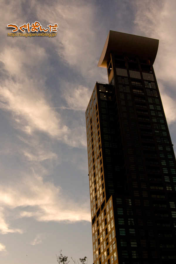 f0153628_2392473.jpg