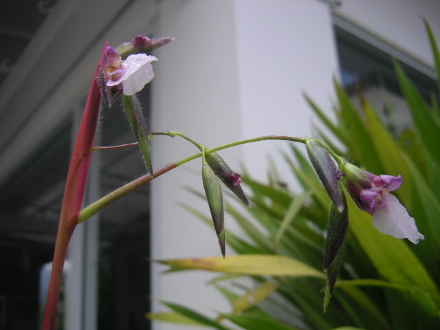 c0127933_20531184.jpg