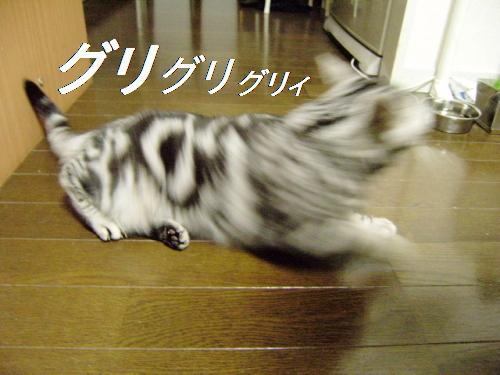 f0175434_04531.jpg