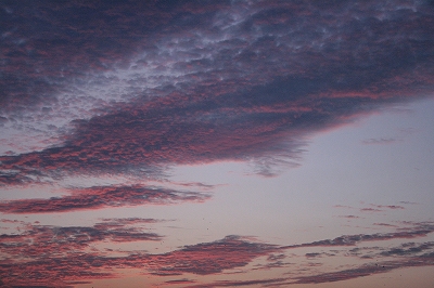 c0186039_2211345.jpg