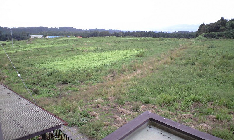 b0067341_1033929.jpg