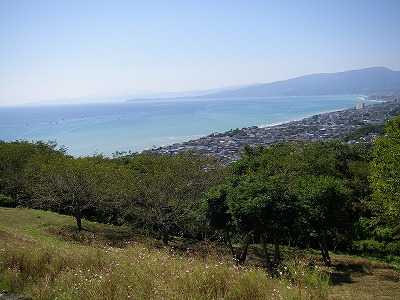 a0137242_8221558.jpg