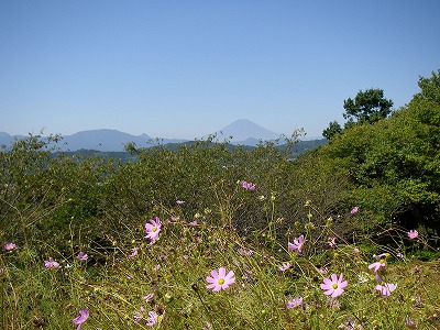 a0137242_82229.jpg
