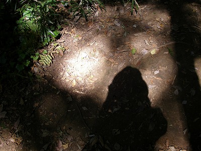 a0137242_8274440.jpg