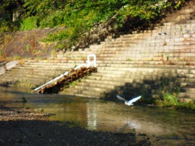 a0074543_22515527.jpg