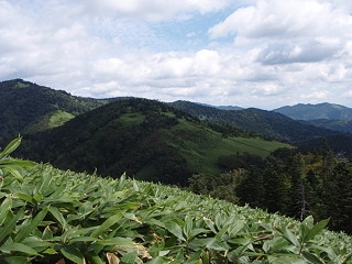 赤石山～野反湖 縦走_a0023246_2335323.jpg