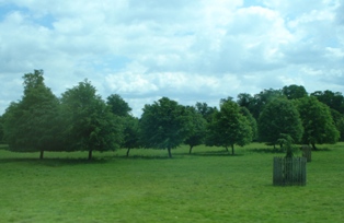 d0040546_14111798.jpg