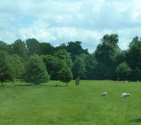 d0040546_14462227.jpg