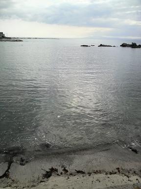 a0098948_0501050.jpg