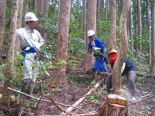 活動の記録　（平成２１年度）その１１_f0126949_5301616.jpg