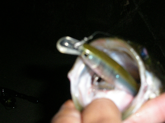f0150151_77097.jpg